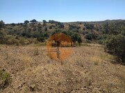 Terreno R�stico - Azinhal, Castro Marim, Faro (Algarve) - Miniatura: 3/9