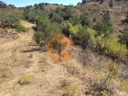 Terreno R�stico - Azinhal, Castro Marim, Faro (Algarve) - Miniatura: 4/9