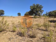 Terreno R�stico - Azinhal, Castro Marim, Faro (Algarve) - Miniatura: 5/9