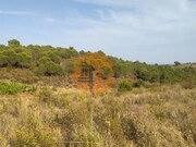 Terreno R�stico - Odeleite, Castro Marim, Faro (Algarve) - Miniatura: 9/9