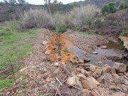 Terreno R�stico - Azinhal, Castro Marim, Faro (Algarve) - Miniatura: 9/9
