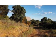 Hotel/Residencial - Concei��o de Tavira, Tavira, Faro (Algarve) - Miniatura: 7/9