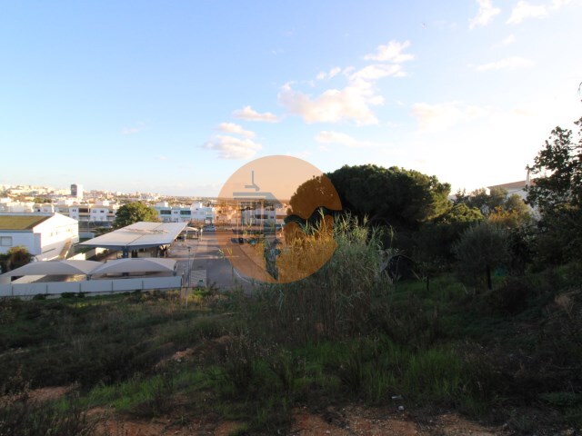 Outros - Montenegro, Faro, Faro (Algarve) - Imagem grande