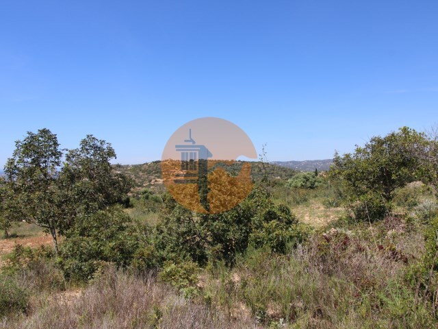 Terreno R�stico - Concei��o, Faro, Faro (Algarve) - Imagem grande