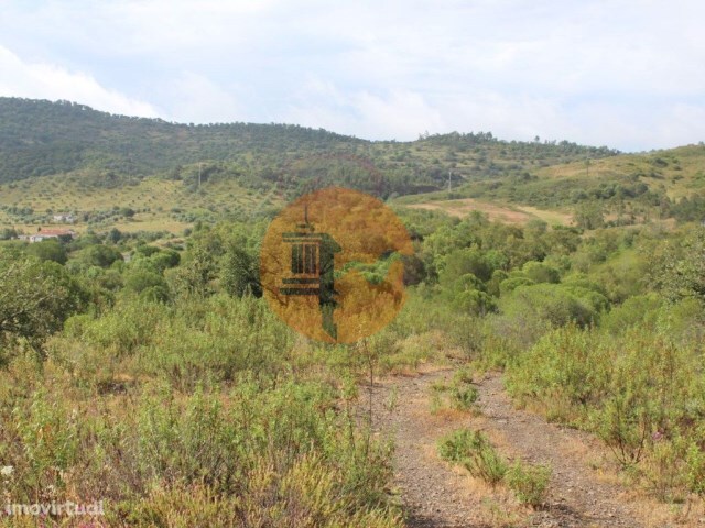 Terreno R�stico - S�o Bartolomeu de Messines, Silves, Faro (Algarve) - Imagem grande