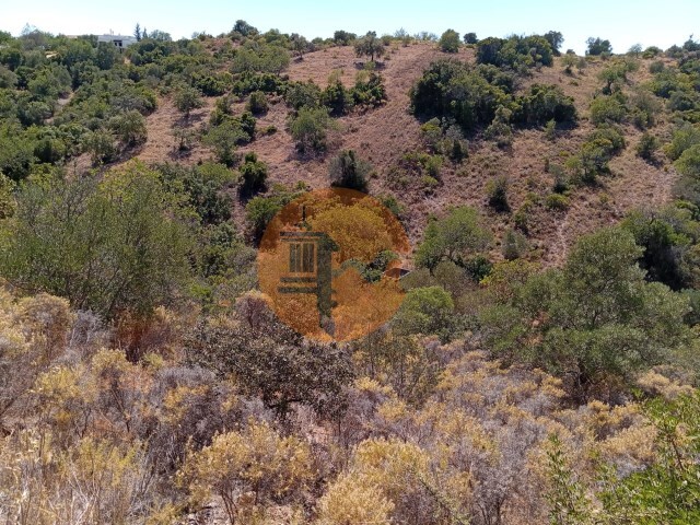 Terreno R�stico - Santa Catarina da Fonte do Bispo, Tavira, Faro (Algarve) - Imagem grande
