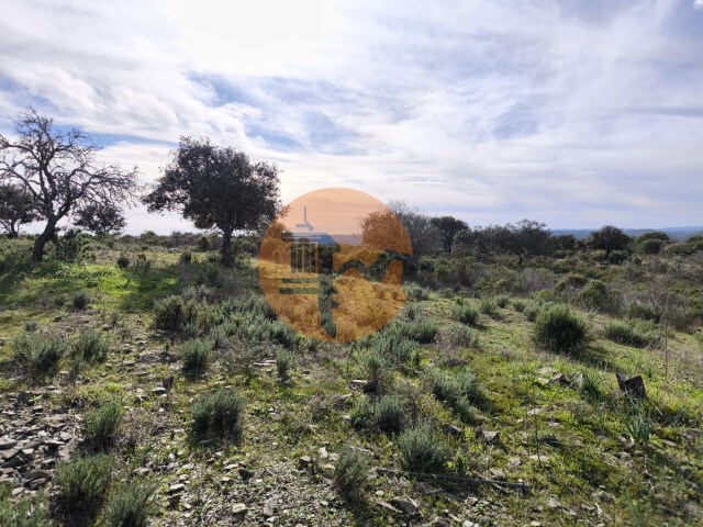 Terreno R�stico - Odeleite, Castro Marim, Faro (Algarve) - Imagem grande