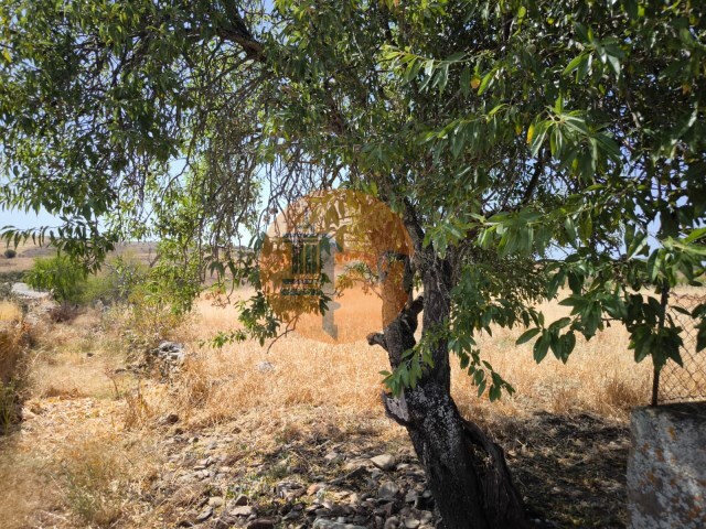 Terreno Urbano - Alcoutim, Alcoutim, Faro (Algarve) - Imagem grande