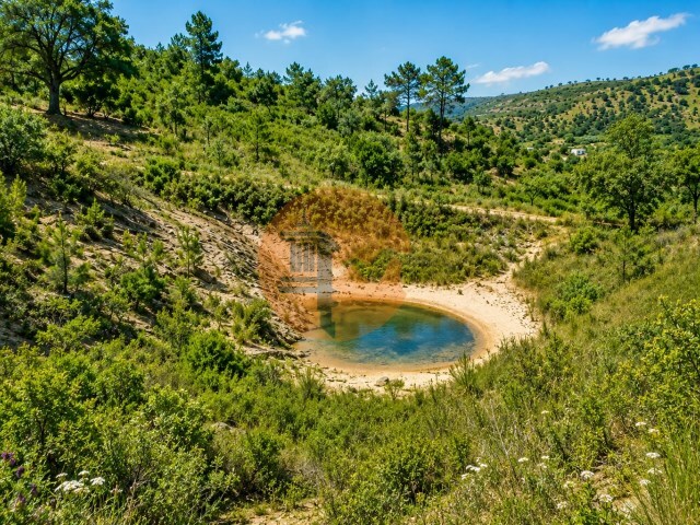 Terreno R�stico - Santa Catarina da Fonte do Bispo, Tavira, Faro (Algarve) - Imagem grande
