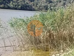 Terreno R�stico - Alcoutim, Alcoutim, Faro (Algarve)