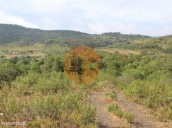 Terreno R�stico - S�o Bartolomeu de Messines, Silves, Faro (Algarve)