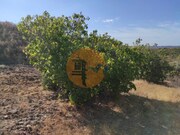 Terreno R�stico - Odeleite, Castro Marim, Faro (Algarve)