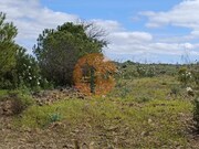 Terreno R�stico - Azinhal, Castro Marim, Faro (Algarve) - Miniatura: 4/9