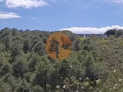 Terreno R�stico - Azinhal, Castro Marim, Faro (Algarve) - Miniatura: 7/9