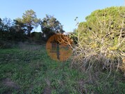 Outros - Montenegro, Faro, Faro (Algarve) - Miniatura: 4/9