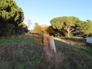 Outros - Montenegro, Faro, Faro (Algarve) - Miniatura: 6/9