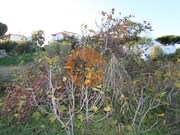 Outros - Montenegro, Faro, Faro (Algarve) - Miniatura: 7/9