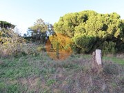 Outros - Montenegro, Faro, Faro (Algarve) - Miniatura: 9/9