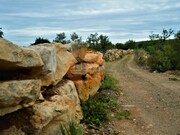 Terreno R�stico - Santa Catarina da Fonte do Bispo, Tavira, Faro (Algarve) - Miniatura: 3/9
