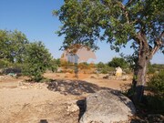 Terreno R�stico - Santa Catarina da Fonte do Bispo, Tavira, Faro (Algarve) - Miniatura: 4/9