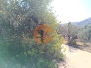 Terreno R�stico - Alcoutim, Alcoutim, Faro (Algarve) - Miniatura: 5/9