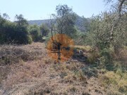 Terreno R�stico - Alcoutim, Alcoutim, Faro (Algarve) - Miniatura: 7/9