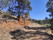 Terreno R�stico - Concei��o de Tavira, Tavira, Faro (Algarve) - Miniatura: 2/9
