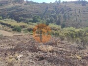 Terreno R�stico - Concei��o de Tavira, Tavira, Faro (Algarve) - Miniatura: 5/9