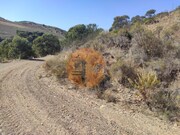 Terreno R�stico - Concei��o de Tavira, Tavira, Faro (Algarve) - Miniatura: 6/9