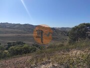 Terreno R�stico - Concei��o de Tavira, Tavira, Faro (Algarve) - Miniatura: 8/9