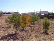 Terreno Rstico - Azinhal, Castro Marim, Faro (Algarve) - Miniatura: 1/2