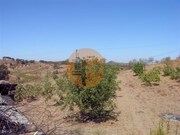 Terreno Rstico - Azinhal, Castro Marim, Faro (Algarve) - Miniatura: 2/2
