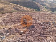 Terreno R�stico - Concei��o de Tavira, Tavira, Faro (Algarve) - Miniatura: 7/9