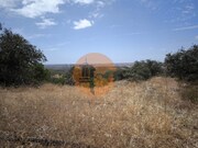 Moradia T3 - Azinhal, Castro Marim, Faro (Algarve) - Miniatura: 8/9