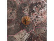 Terreno R�stico - Azinhal, Castro Marim, Faro (Algarve) - Miniatura: 3/6