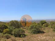Terreno R�stico - Concei��o, Faro, Faro (Algarve) - Miniatura: 3/9