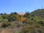 Terreno R�stico - Concei��o, Faro, Faro (Algarve) - Miniatura: 4/9
