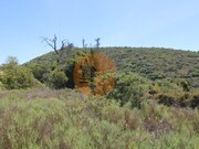 Terreno R�stico - Concei��o, Faro, Faro (Algarve) - Miniatura: 5/9