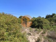 Terreno R�stico - Concei��o, Faro, Faro (Algarve) - Miniatura: 6/9