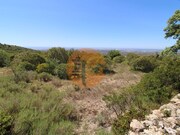 Terreno R�stico - Concei��o, Faro, Faro (Algarve) - Miniatura: 7/9