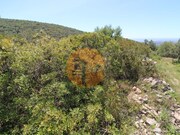 Terreno R�stico - Concei��o, Faro, Faro (Algarve) - Miniatura: 8/9