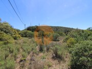Terreno R�stico - Concei��o, Faro, Faro (Algarve) - Miniatura: 9/9