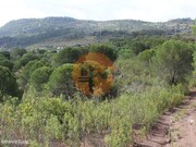Terreno R�stico - S�o Bartolomeu de Messines, Silves, Faro (Algarve) - Miniatura: 2/9