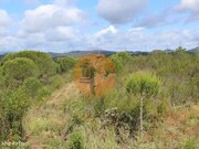 Terreno R�stico - S�o Bartolomeu de Messines, Silves, Faro (Algarve) - Miniatura: 3/9