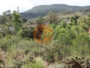 Terreno R�stico - S�o Bartolomeu de Messines, Silves, Faro (Algarve) - Miniatura: 4/9