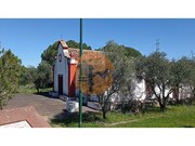 Terreno R�stico - S�o Bartolomeu de Messines, Silves, Faro (Algarve) - Miniatura: 6/9