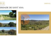Terreno R�stico - S�o Bartolomeu de Messines, Silves, Faro (Algarve) - Miniatura: 7/9