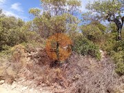 Terreno R�stico - Santa Catarina da Fonte do Bispo, Tavira, Faro (Algarve) - Miniatura: 2/9