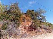 Terreno R�stico - Santa Catarina da Fonte do Bispo, Tavira, Faro (Algarve) - Miniatura: 3/9