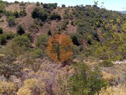Terreno R�stico - Santa Catarina da Fonte do Bispo, Tavira, Faro (Algarve) - Miniatura: 5/9